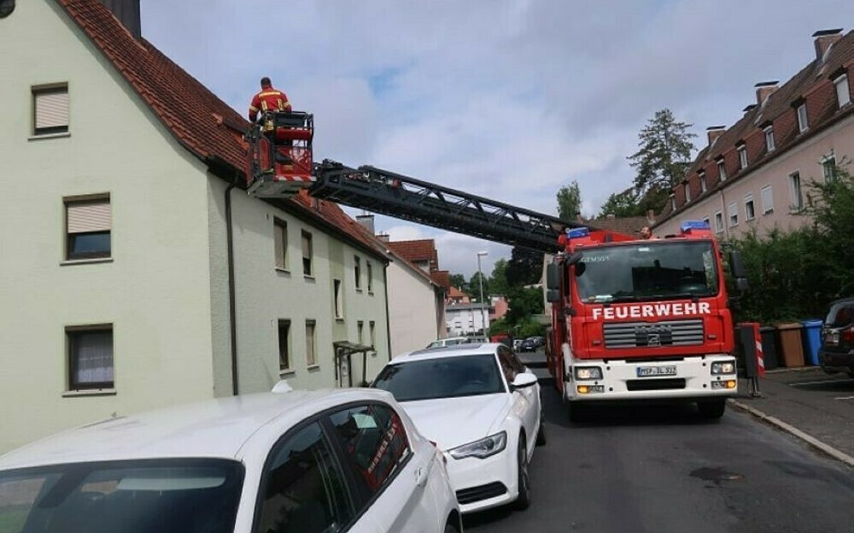 Eine Katze muss von der Feuerwehr Gemünden aus der Regenrinne gerettet werden Eine Katze muss von der Feuerwehr Gemünden aus der Regenrinne gerettet werden